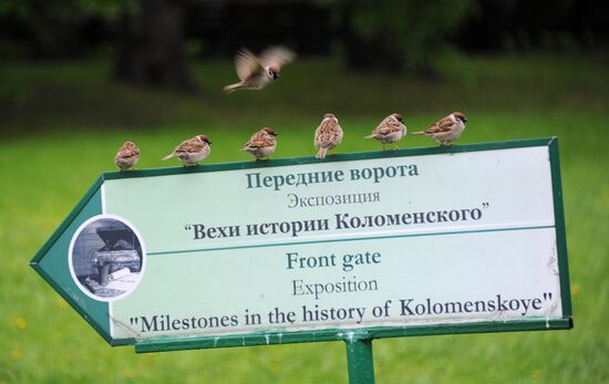 Музей-заповедник "Коломенское"