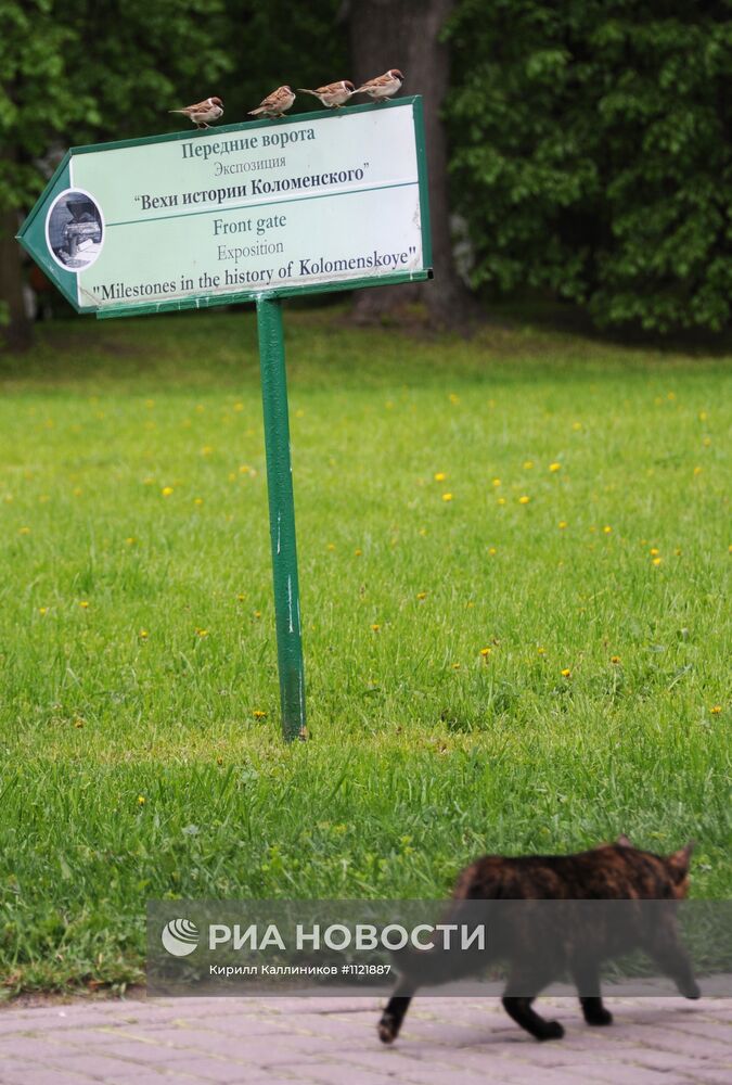 Музей-заповедник "Коломенское"