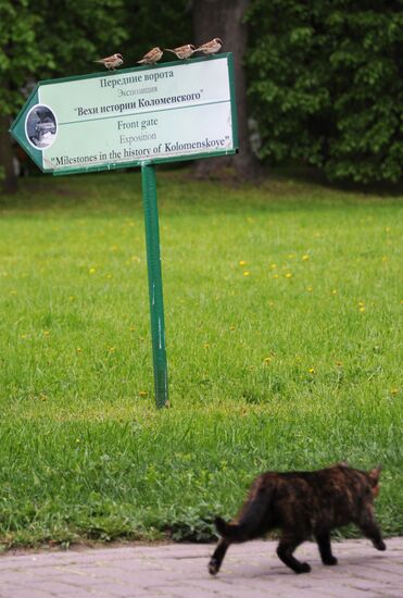 Музей-заповедник "Коломенское"