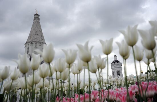 Музей-заповедник "Коломенское"
