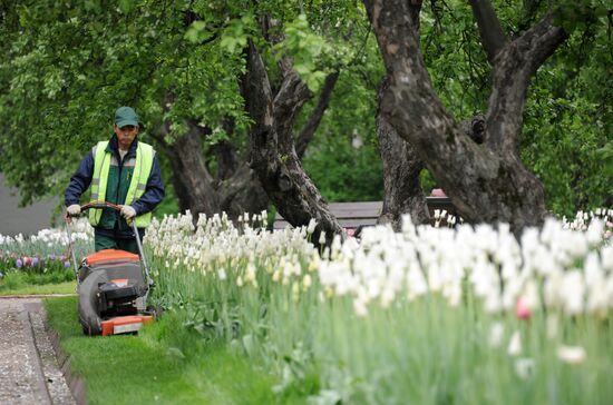 Музей-заповедник "Коломенское"