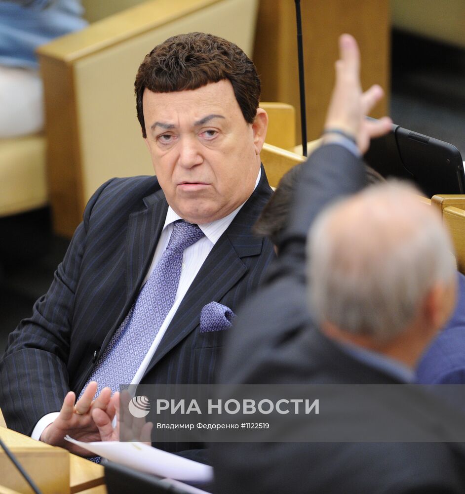 Пленарное заседание Государственной Думы РФ