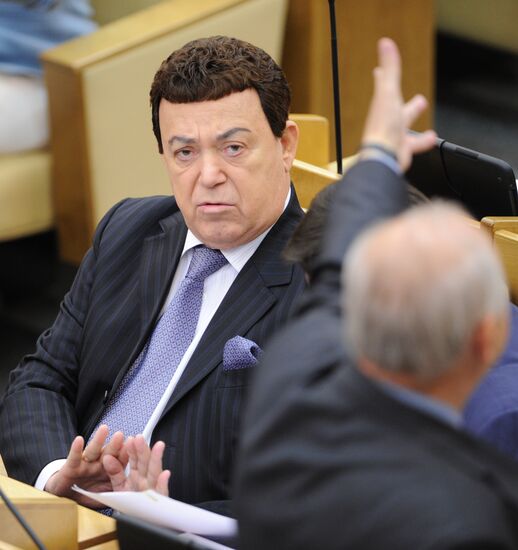 Пленарное заседание Государственной Думы РФ