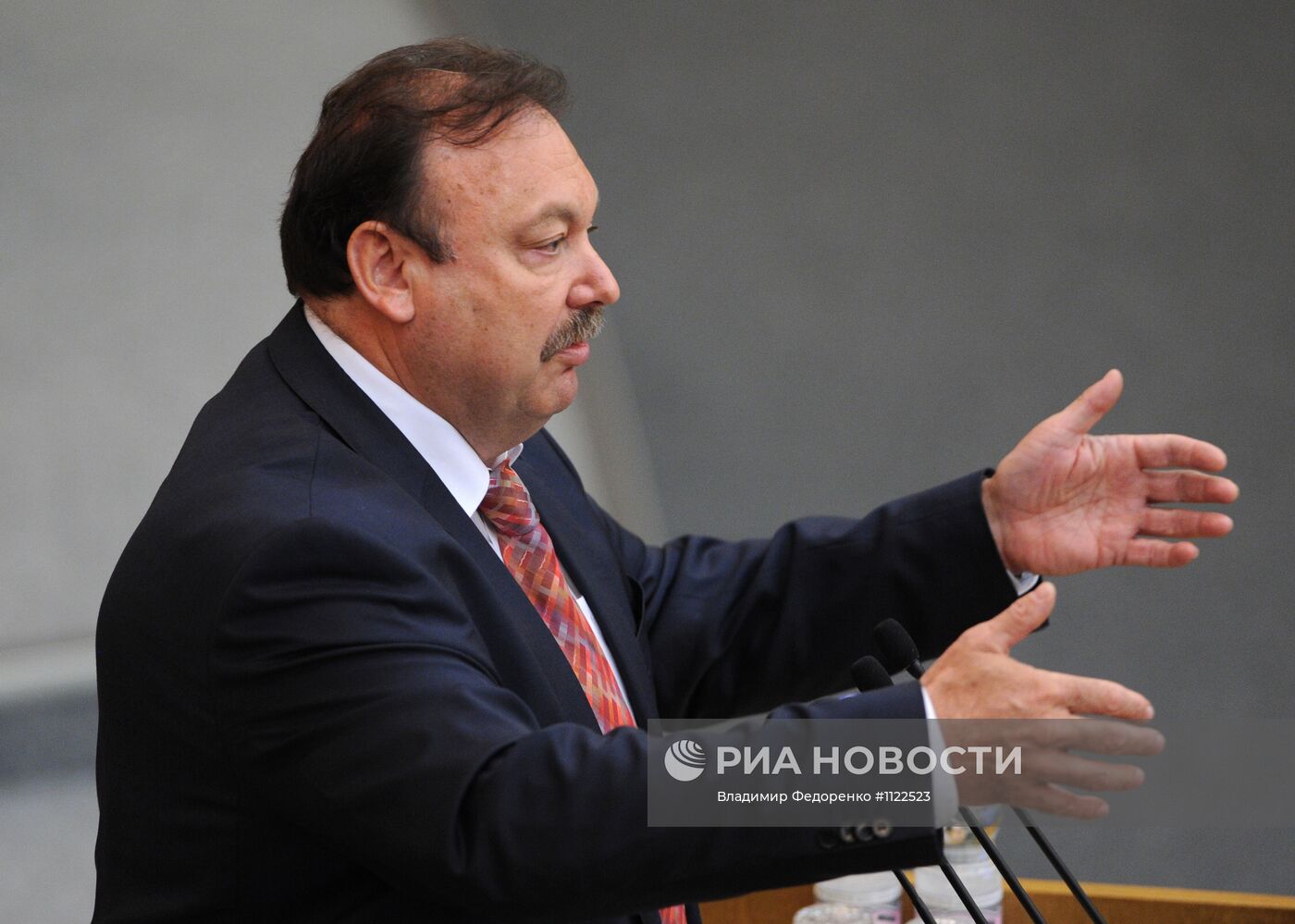 Пленарное заседание Государственной Думы РФ