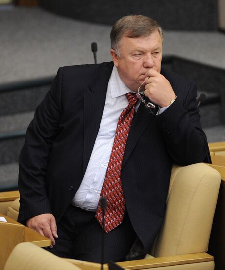 Пленарное заседание Государственной Думы РФ