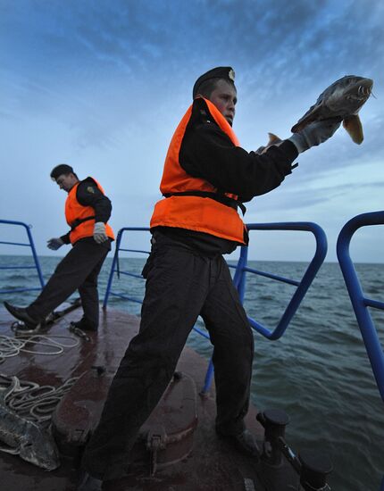 Борьба с браконьерством осетровых в Каспийском море