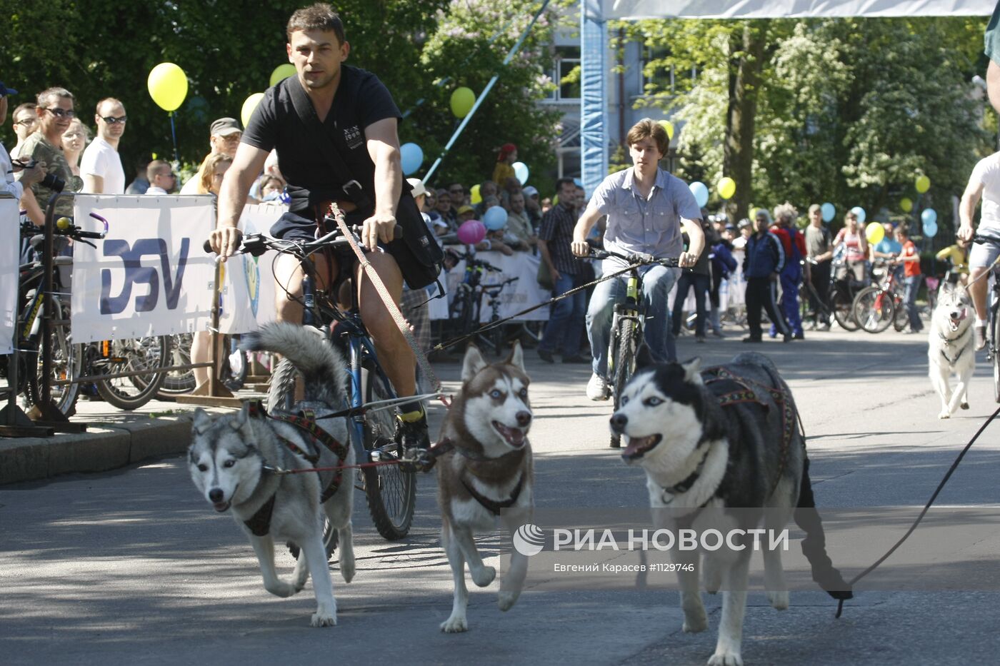 Фестиваль "День колеса" в Калининграде