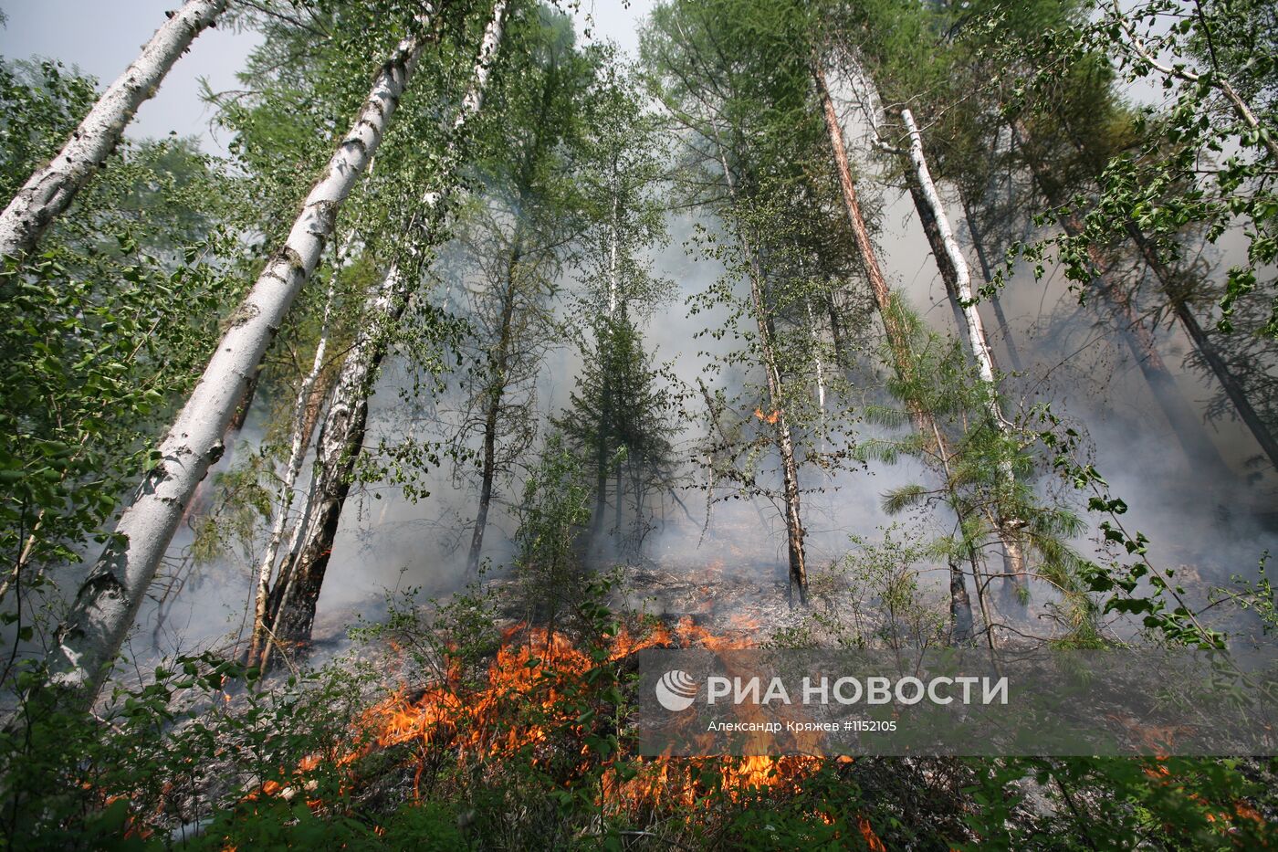 Тушение лесных пожаров в республике Тыва