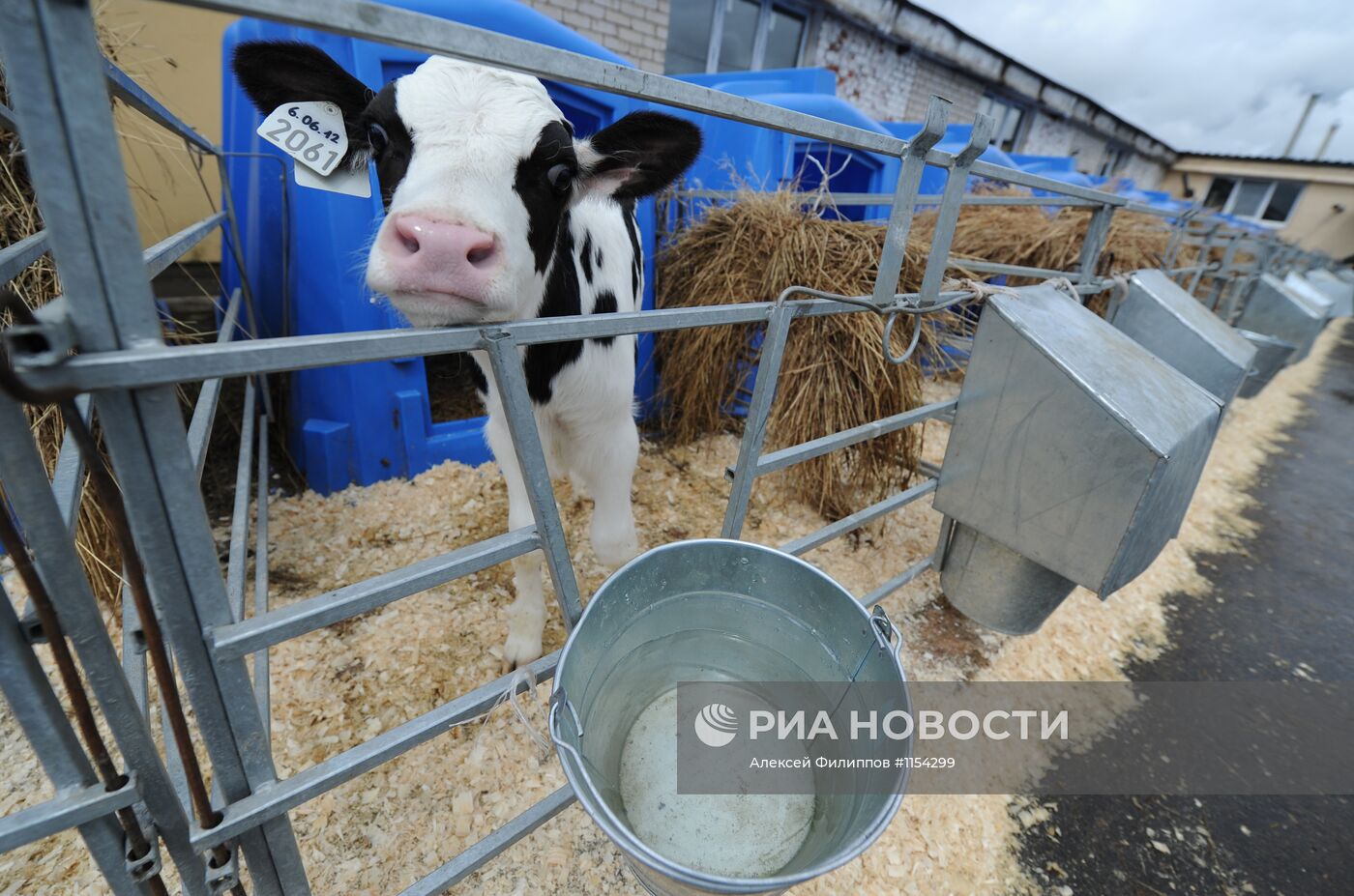 Работа агрохолдинга "Русское молоко"
