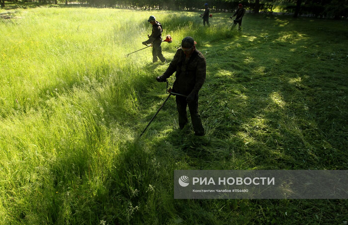 Благоустройство территории