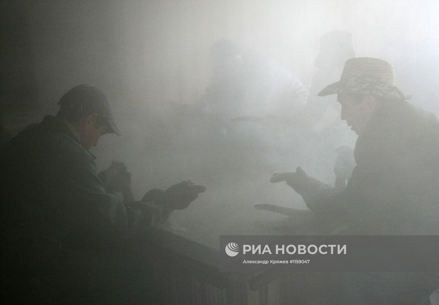 Работа фермы по разведению маралов в республике Алтай