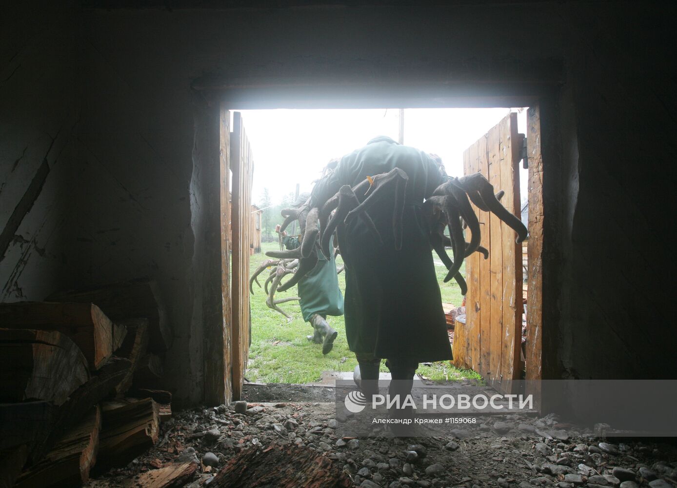 Работа фермы по разведению маралов в республике Алтай