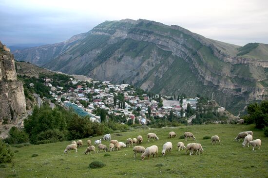 Быт сельских жителей в горных селениях Гунибского района