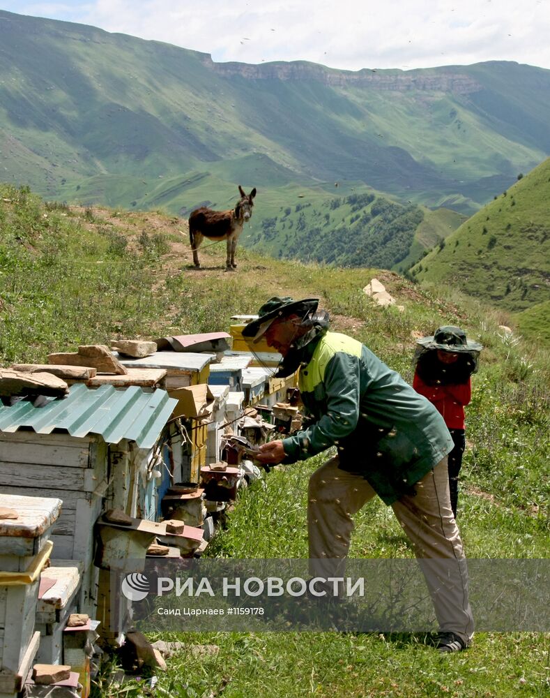 Быт сельских жителей в горных селениях Гунибского района