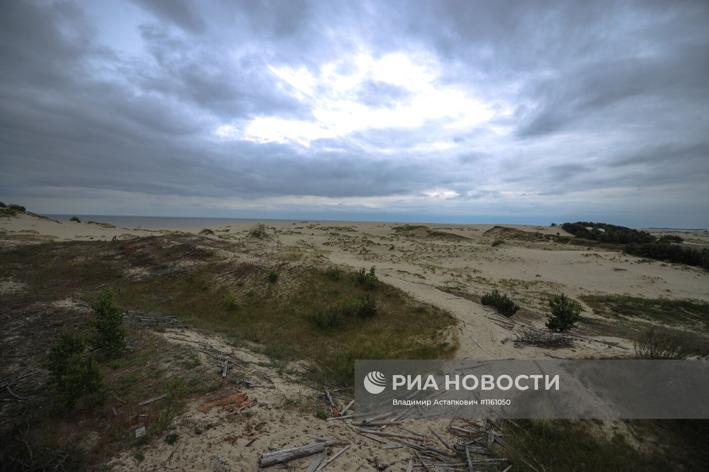 Национальный парк "Куршская коса"