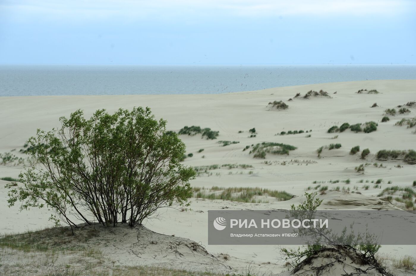 Национальный парк "Куршская коса"