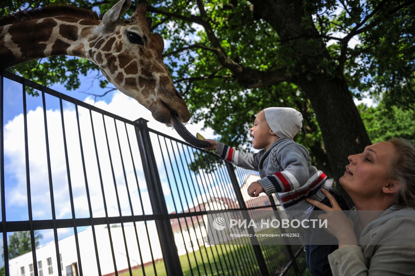 Калининградский зоопарк
