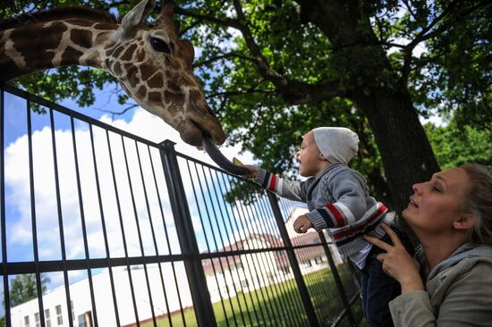 Калининградский зоопарк
