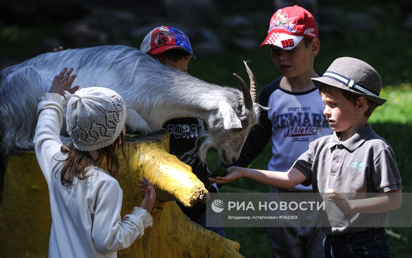 Калининградский зоопарк