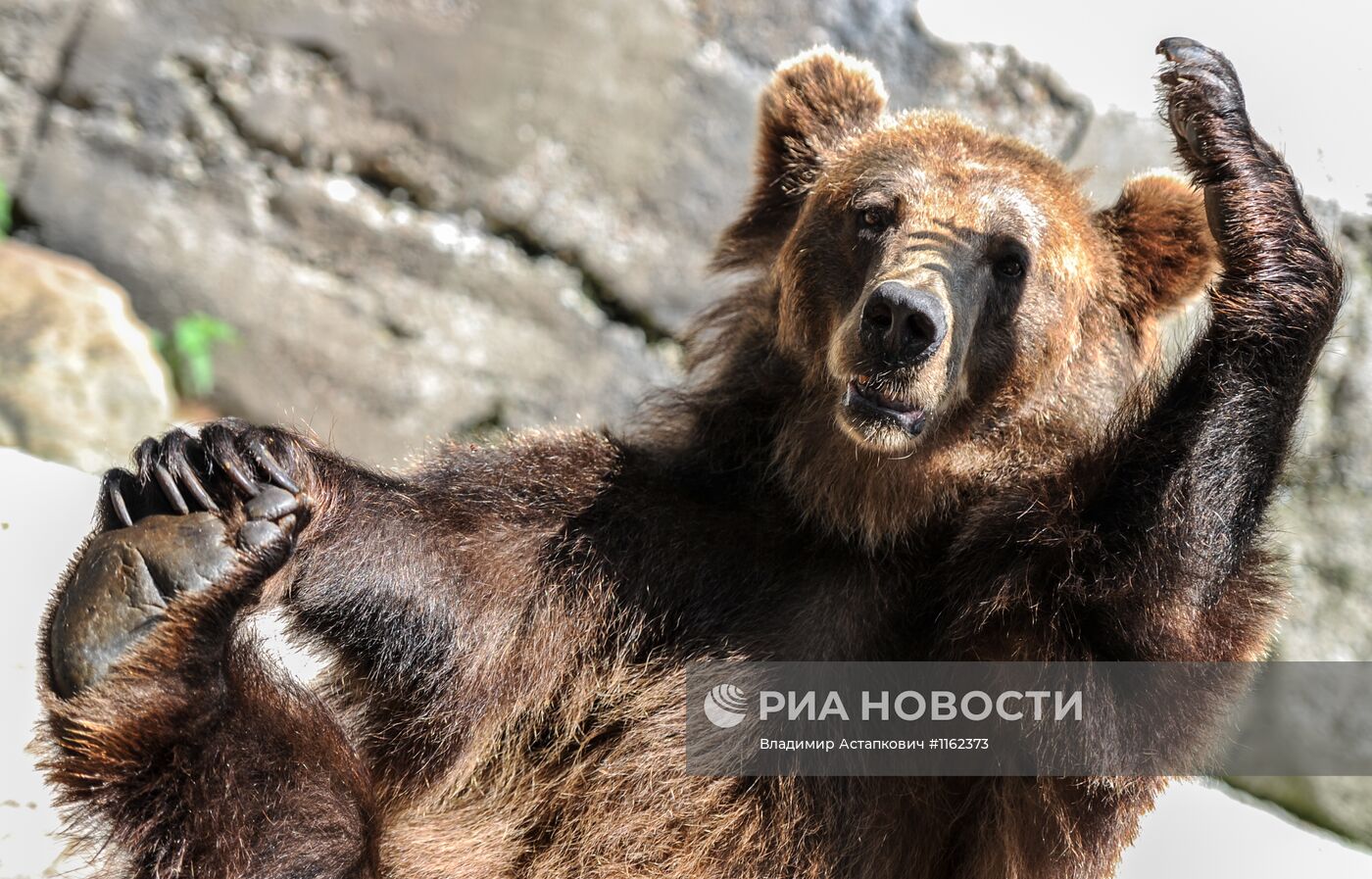 Калининградский зоопарк
