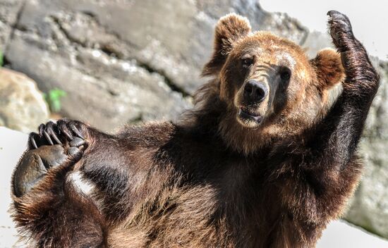 Калининградский зоопарк