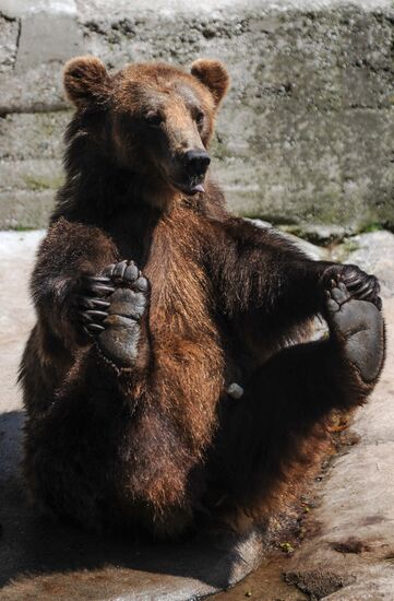 Калининградский зоопарк