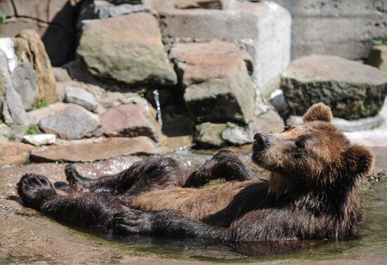 Калининградский зоопарк