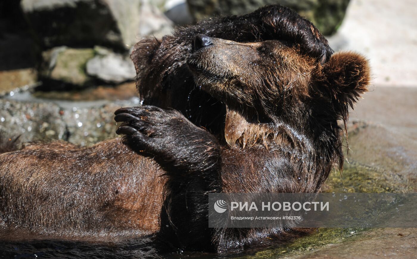 Калининградский зоопарк