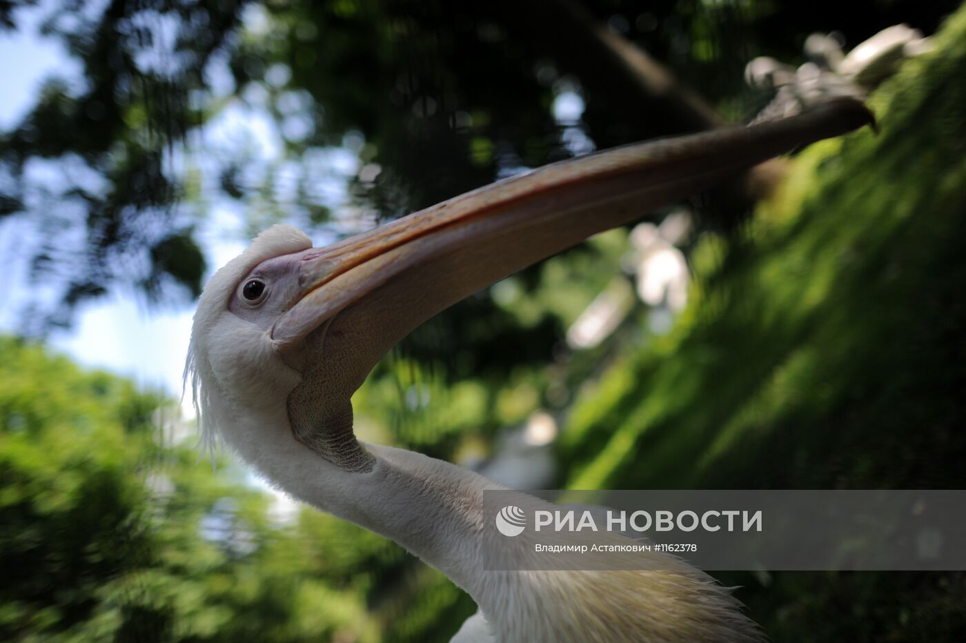 Калининградский зоопарк