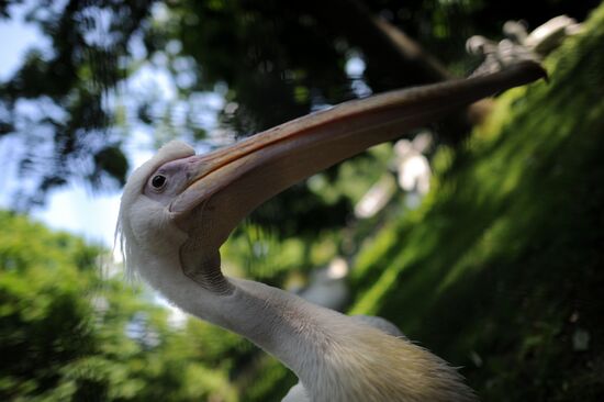 Калининградский зоопарк