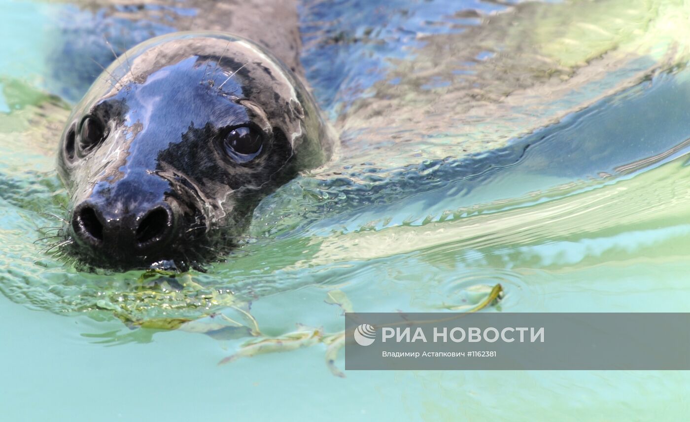 Калининградский зоопарк