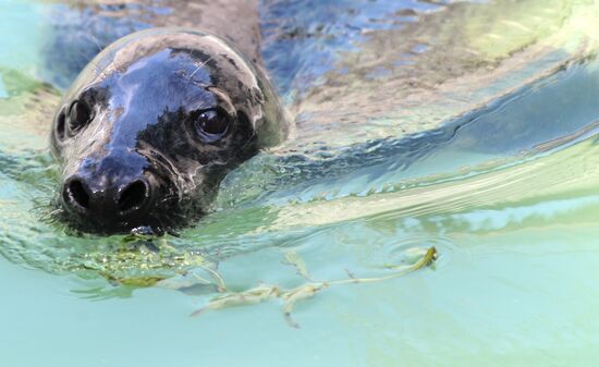 Калининградский зоопарк