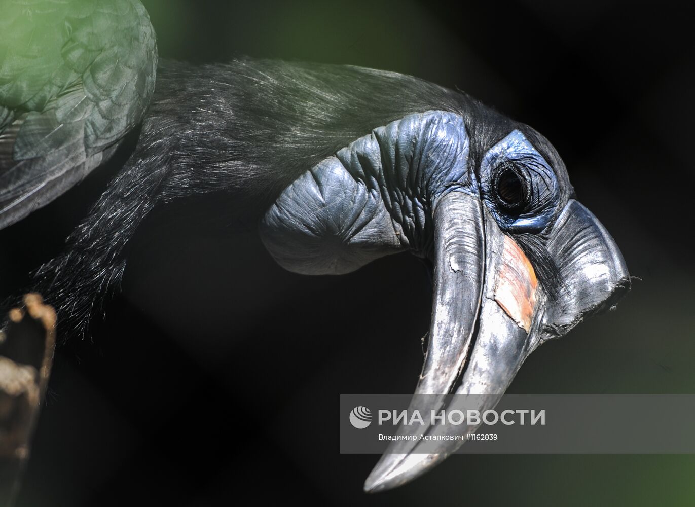 Калининградский зоопарк