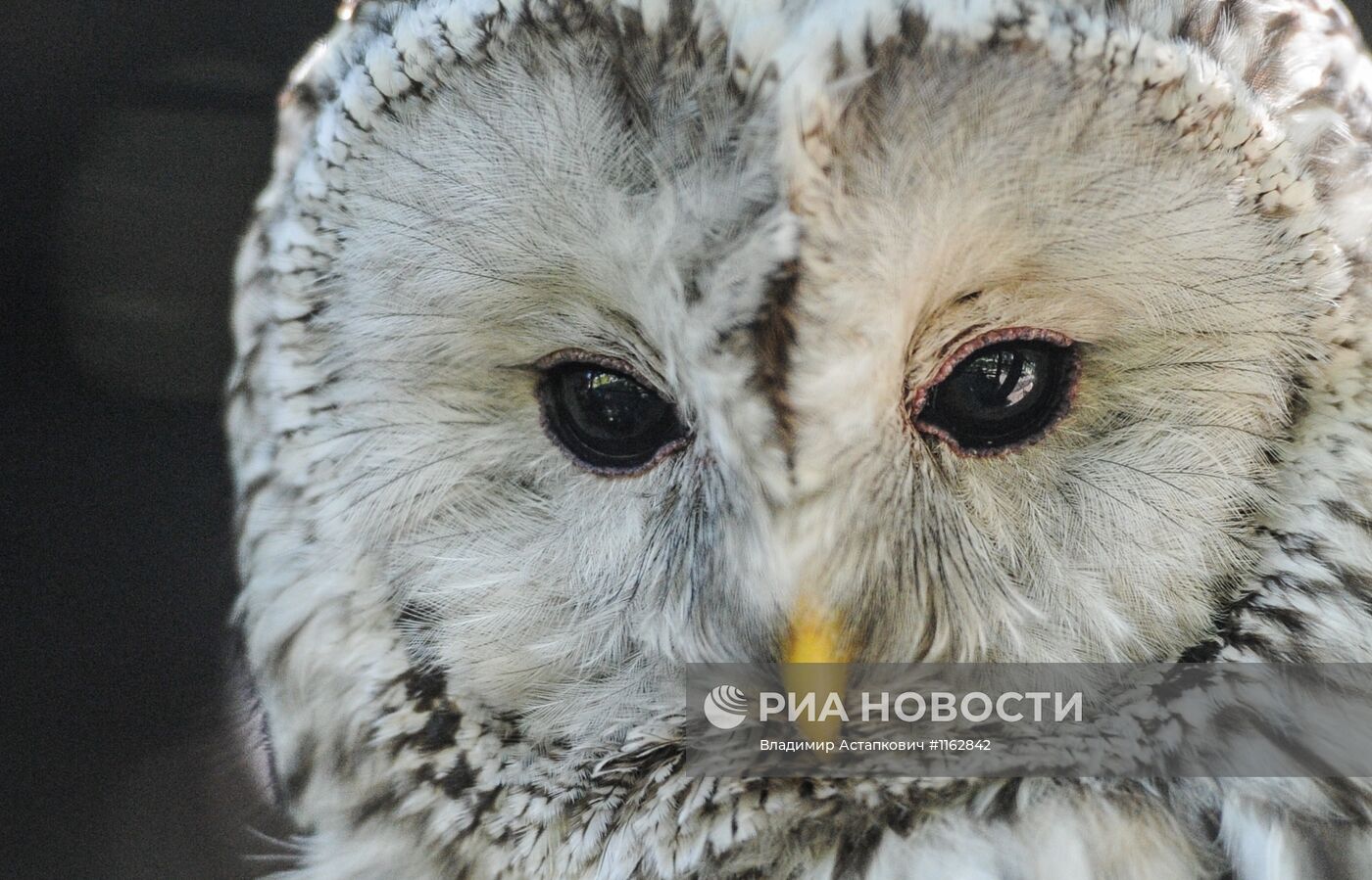 Калининградский зоопарк