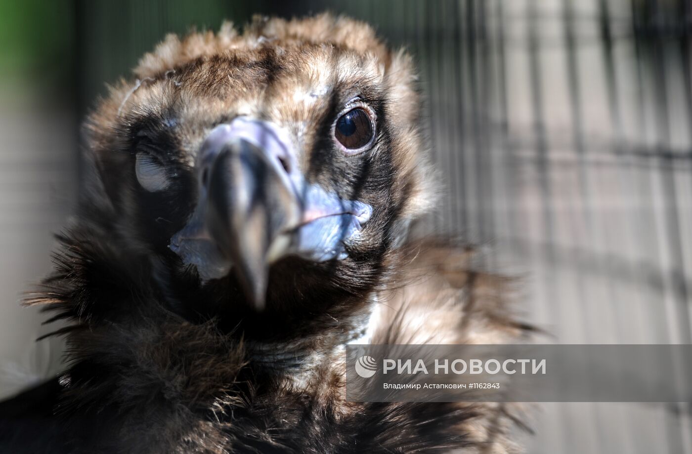 Калининградский зоопарк