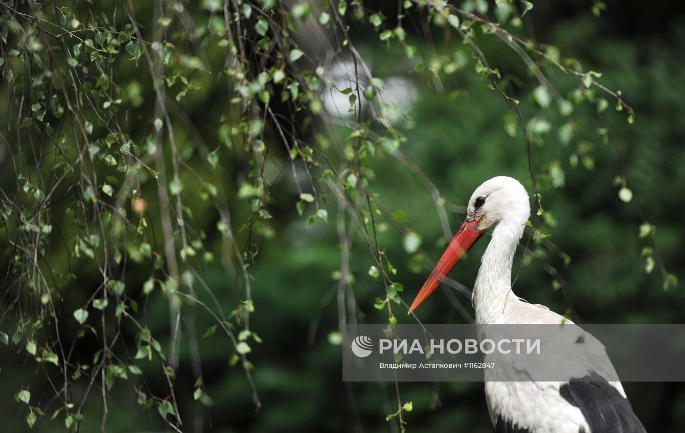 Калининградский зоопарк
