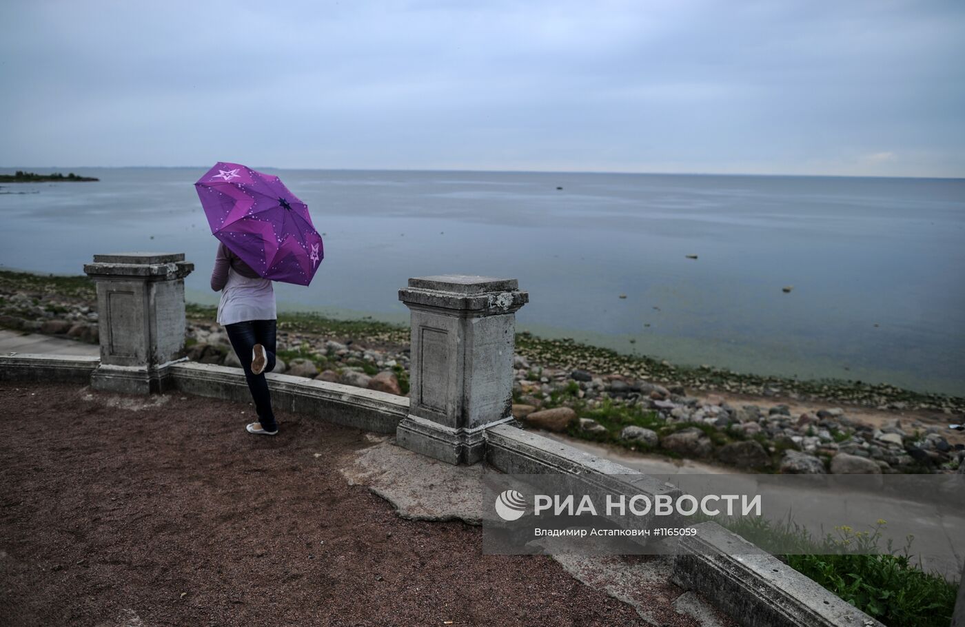 Государственный музей-заповедник "Петергоф"