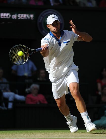 Теннис. Уимблдон - 2012. Шестой день