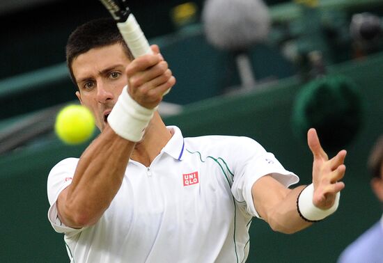 Теннис. Уимблдон - 2012. Двенадцатый день