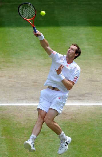 Теннис. Уимблдон - 2012. Четырнадцатый день