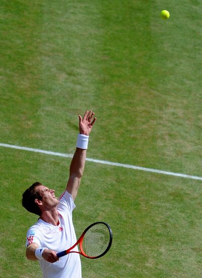 Теннис. Уимблдон - 2012. Четырнадцатый день