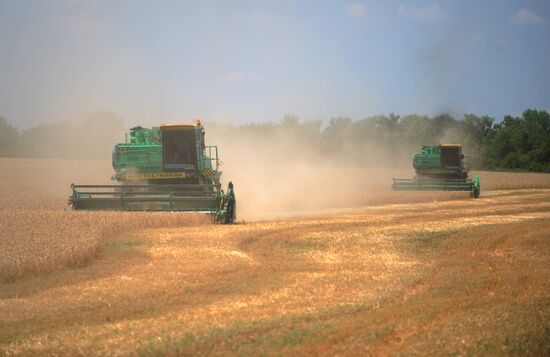 Уборка зерна на полях Ростовской области