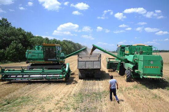 Уборка зерна на полях Ростовской области
