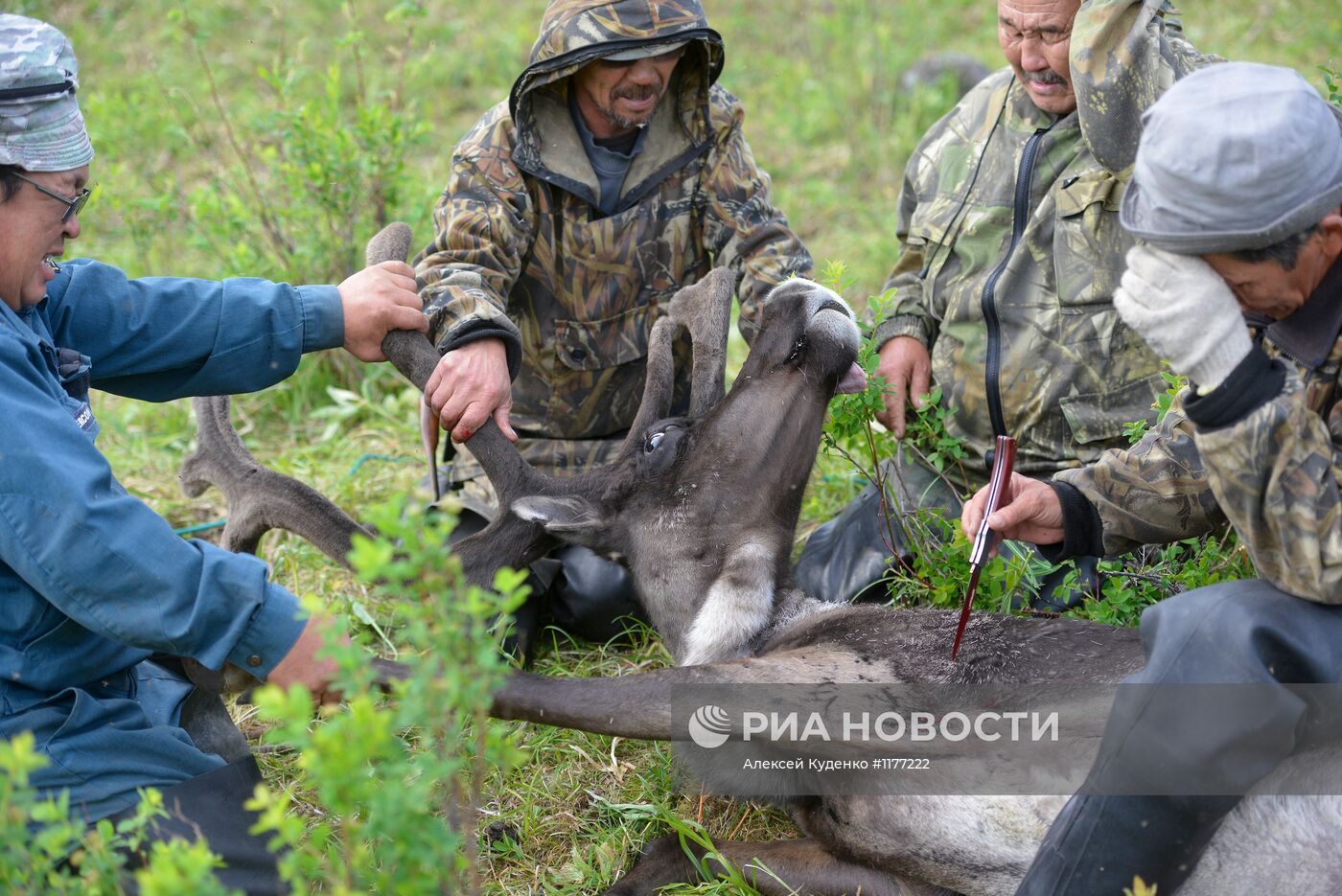 Члены родовой общины "Акенман" на летнем стойбище