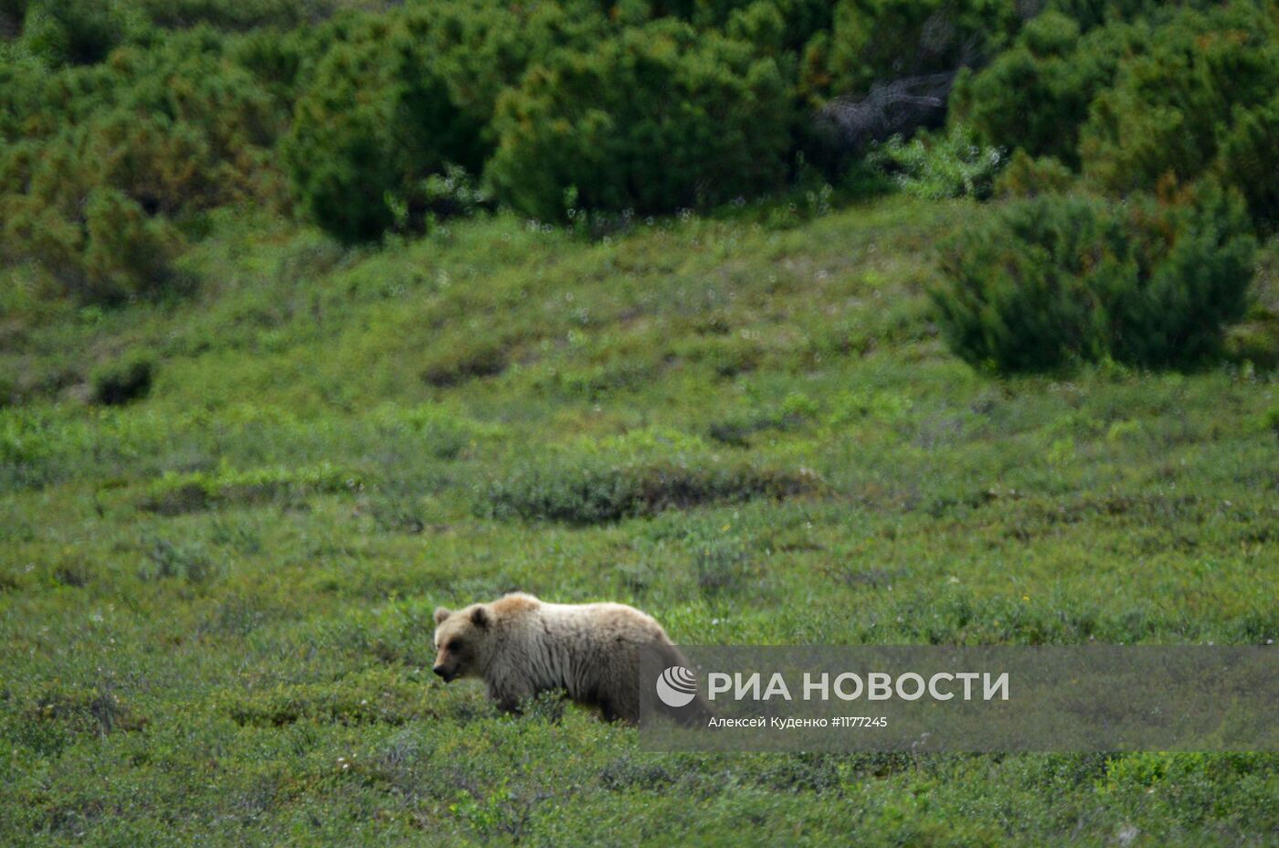 Члены родовой общины "Акенман" на летнем стойбище