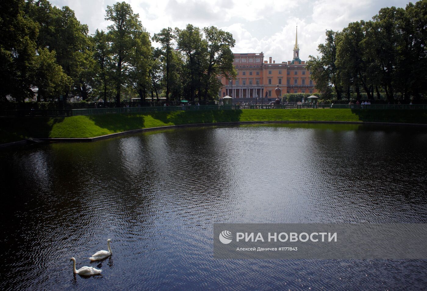 Лебеди в Летнем саду Санкт-Петербурга