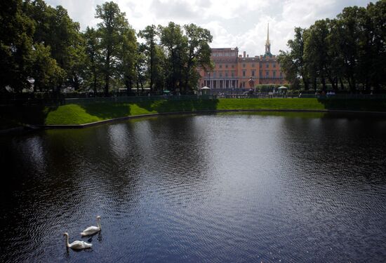 Лебеди в Летнем саду Санкт-Петербурга