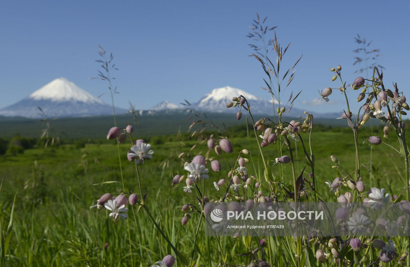 Работа вулканологов в районе БТТИ на Камчатке