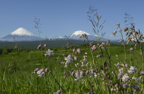 Работа вулканологов в районе БТТИ на Камчатке