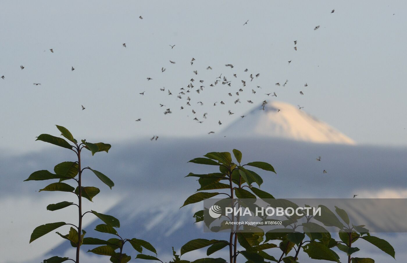 Регионы России. Камчатка